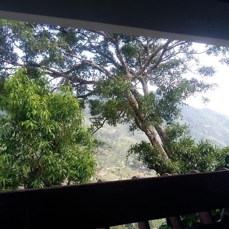 Holly Hock Bed and Breakfast Munnar Εξωτερικό φωτογραφία